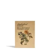 Bee & Butterfly Friendly Seeds