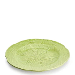 Cabbage Dinner Plate Fennel