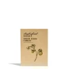 Green Zebra Tomato Seeds