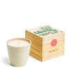 Limited Edition Vine Tomato Botanic Candle