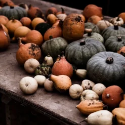 Market Garden Mixed Squash