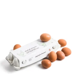 Organic Cotswold Brown Eggs 12 Pack