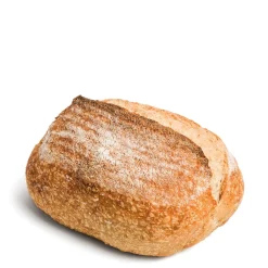 Organic Sourdough
