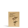 Phacelia Seeds